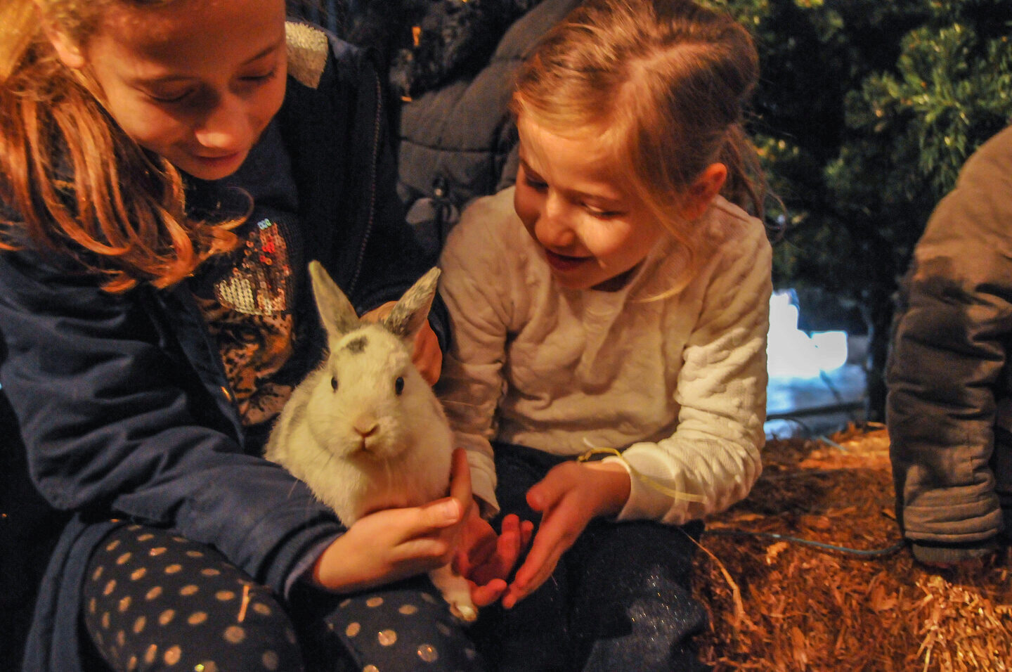 Kinderen met een konijn | Boerderij De Boerinn