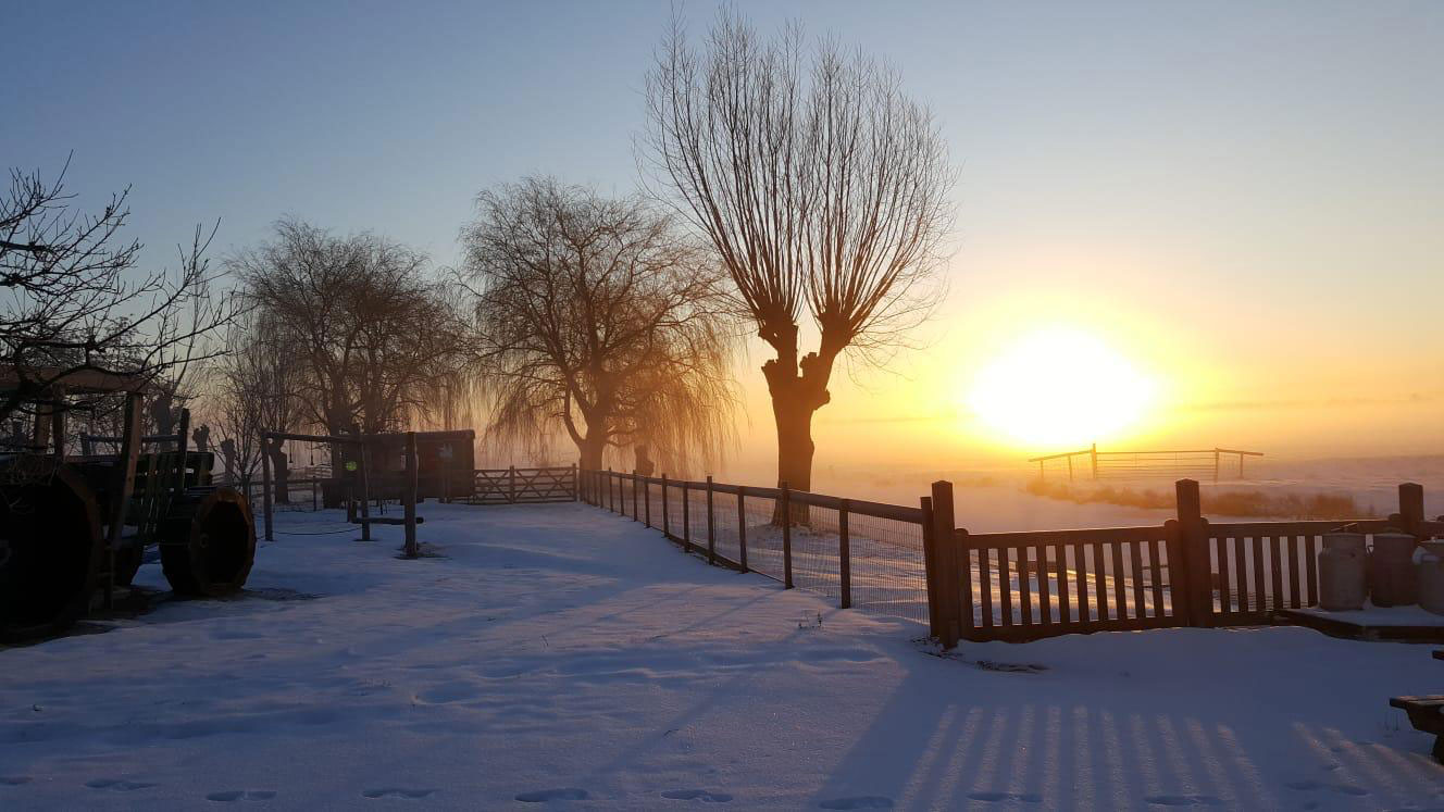 Winter wonderland bij Boederij De Boerinn