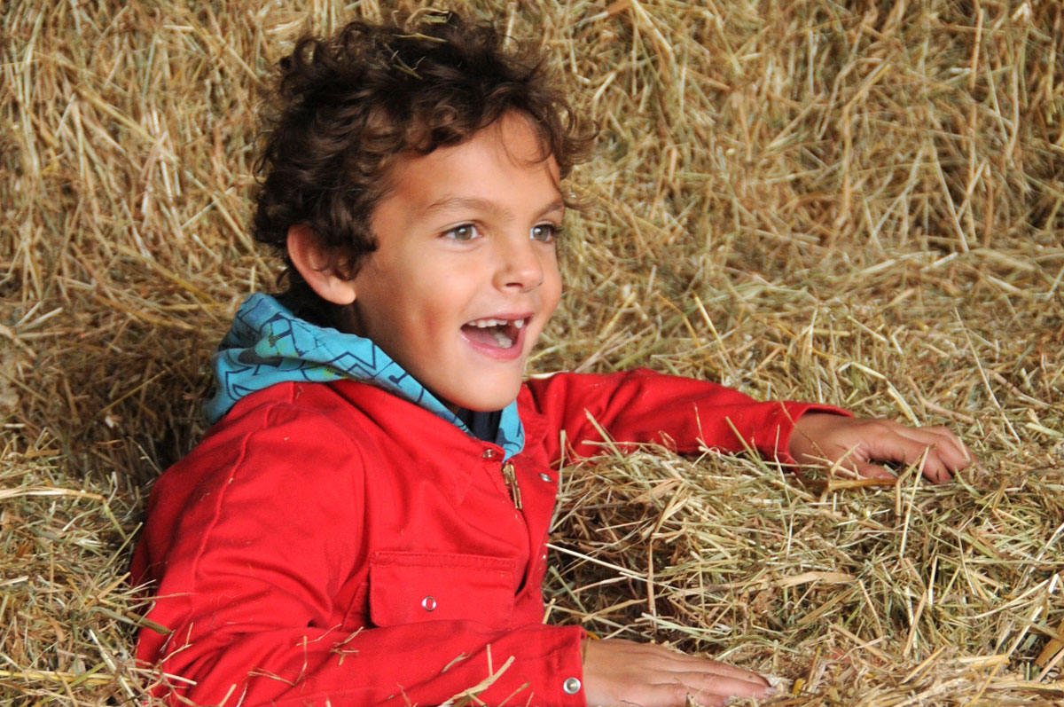 Spelen in hooi bij Boerderij de Boerinn