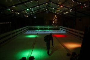 Curlen in de winter | Boerderij De Boerinn