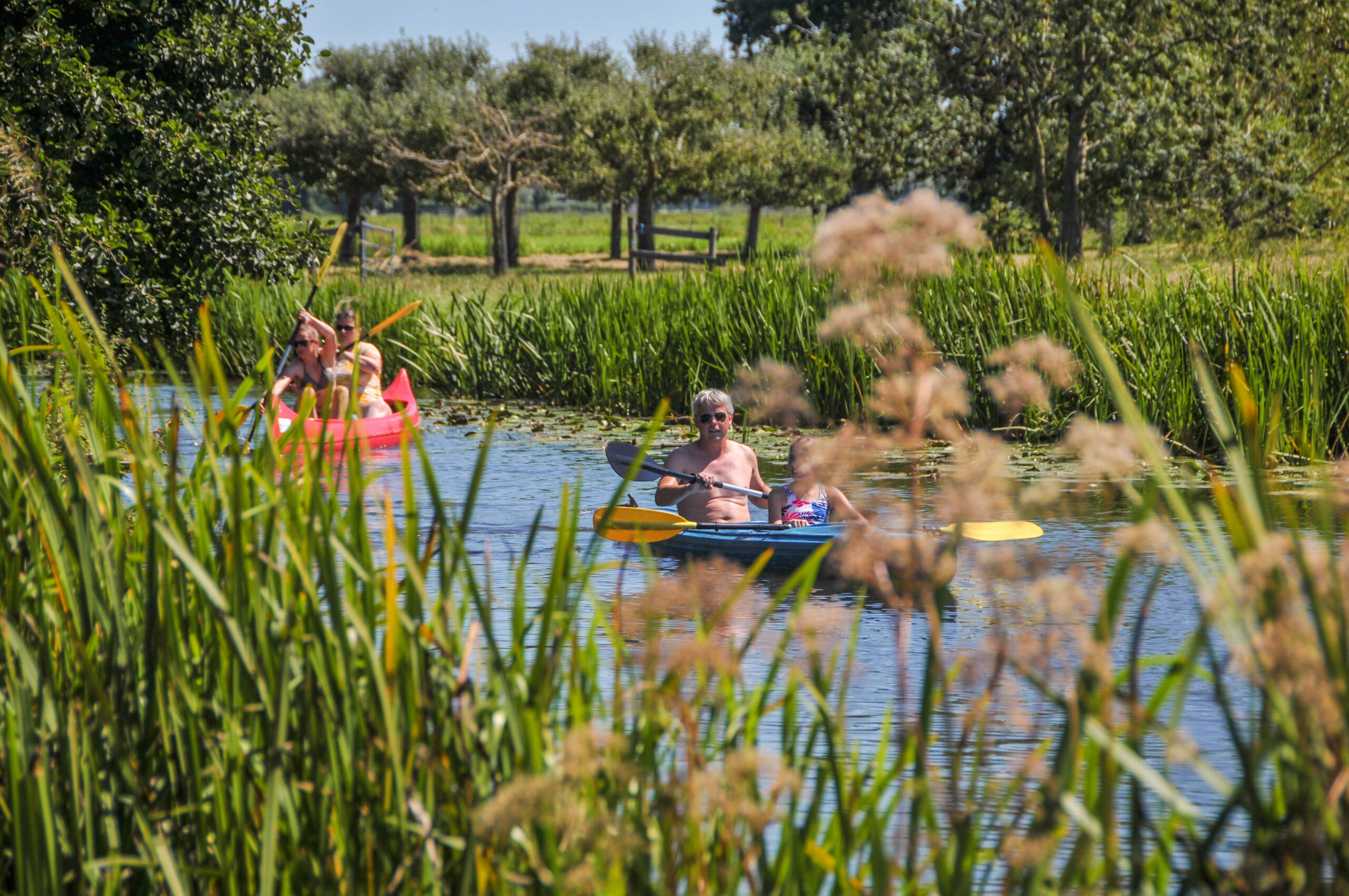 Kanovaren als activiteit bij Boerderij De Boerinn