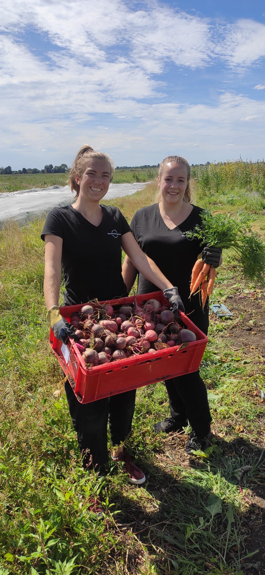 Groenten Van Eigen Bodem | Boerderij De Boerinn