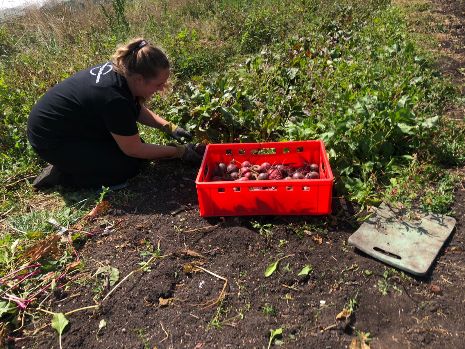 Producten Van Eigen Bodem | Boerderij De Boerinn