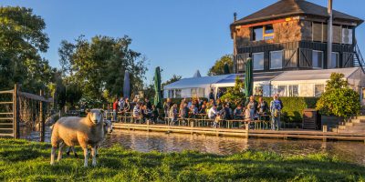 Aanzicht Boerderij De Boerinn Met Schaap