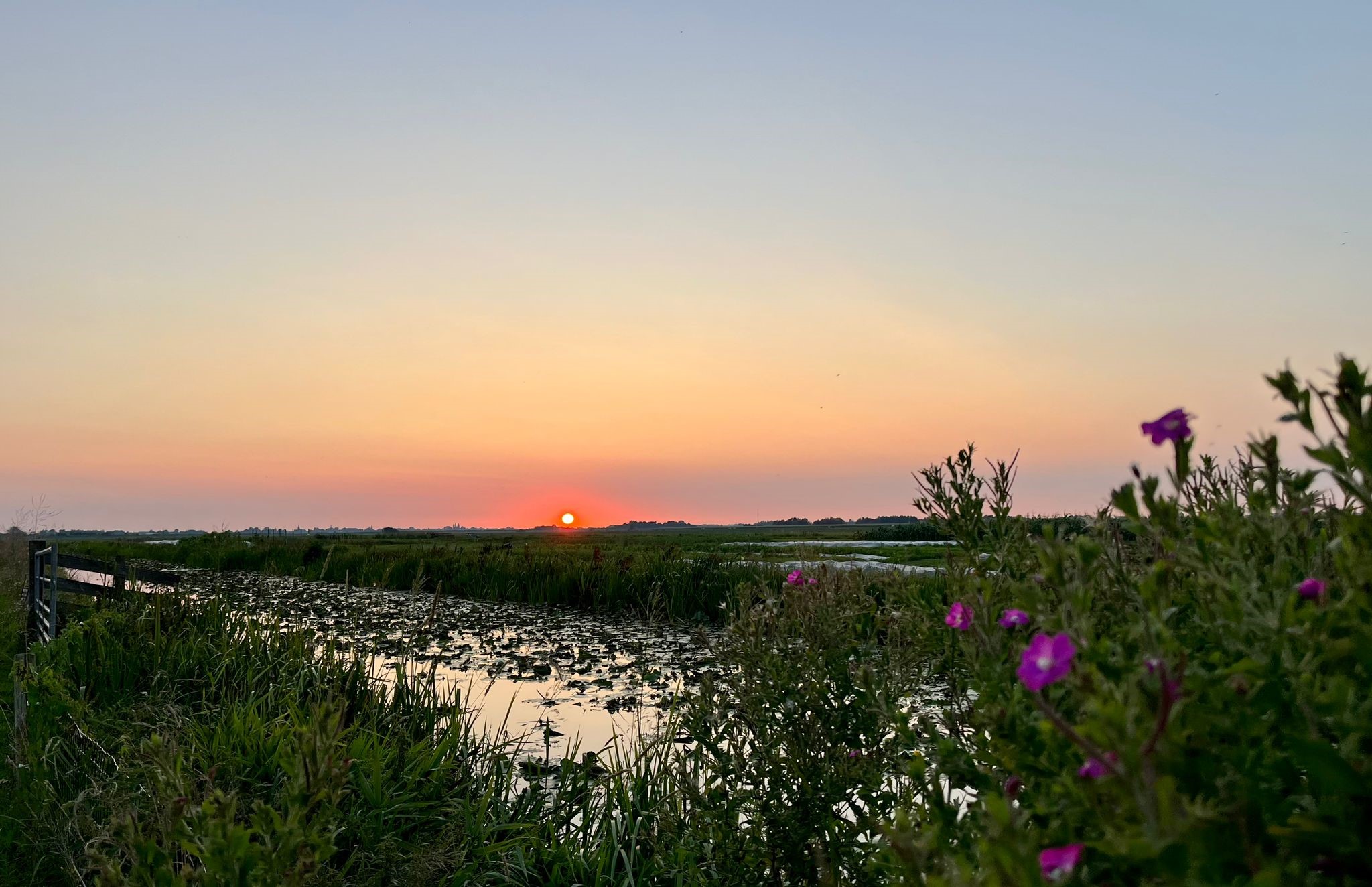 Zonsondergang in de polder | Boerderij De Boerinn