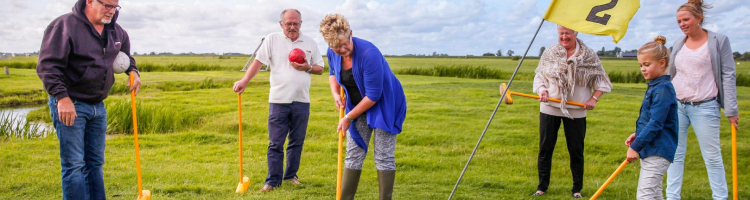 Klompengolf Als Vergaderbreak bij Boerderij De Boerinn