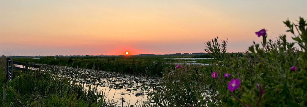 Weiland met zonsopgang bij Boerderij De Boerinn