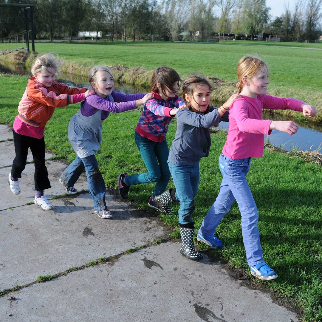 Polonaise Zomerboerderij - Boerderij De Boerinn