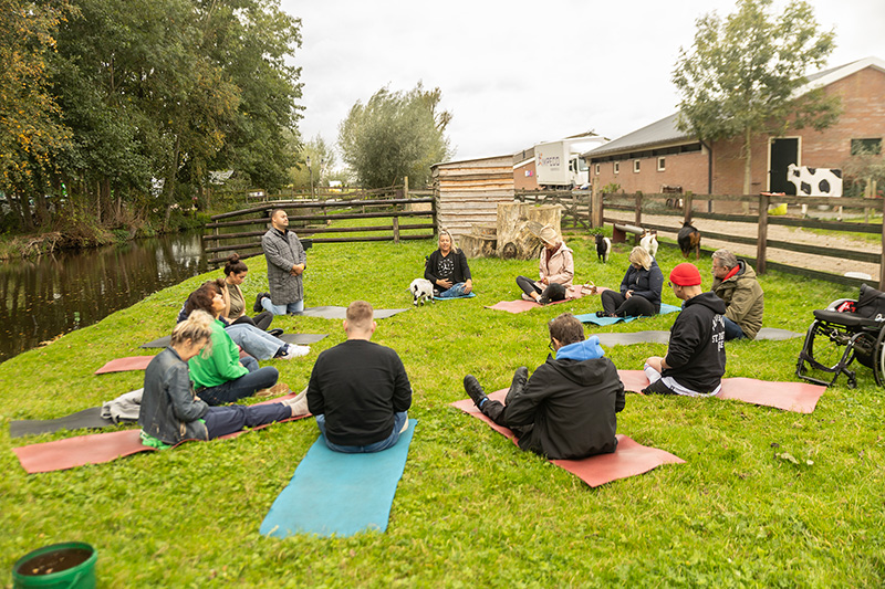 Geitenyoga KPN bedrijfsevenement | Boerderij De Boerinn